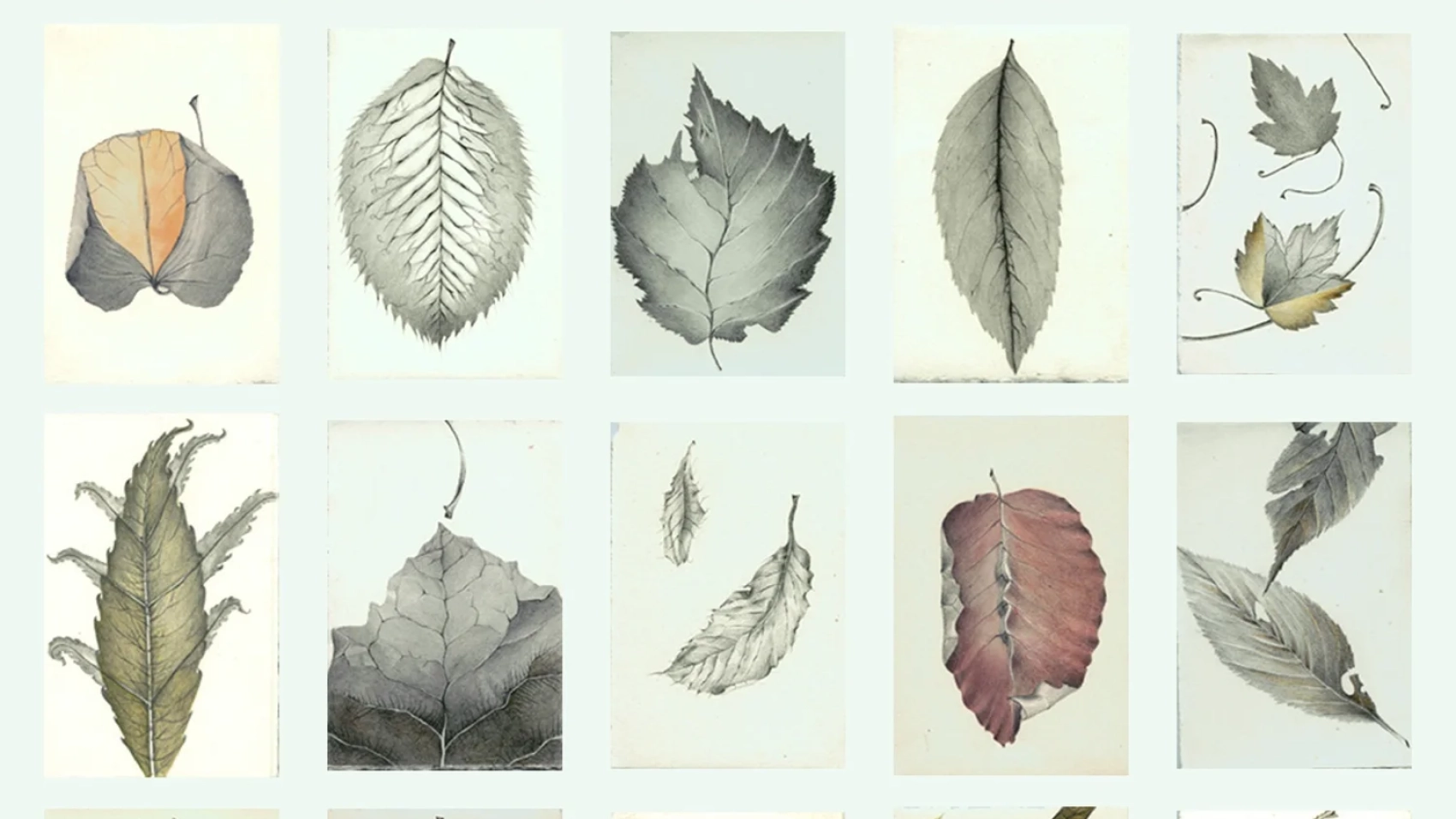 Reflections on Creativity and Why Art Matters