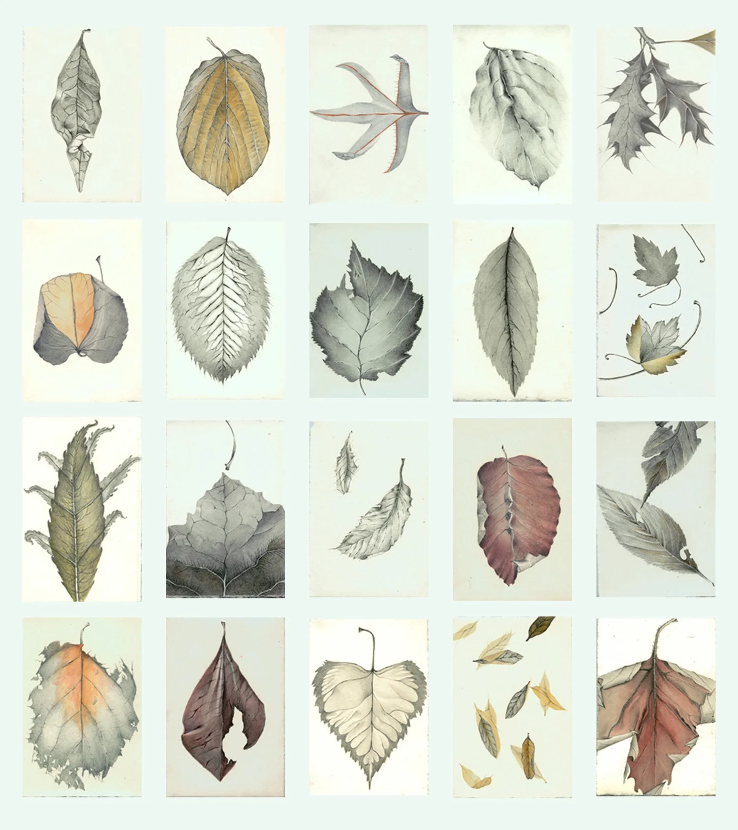 Reflections on Creativity and Why Art Matters